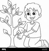 Tree Trees Planting Plant Drawing Coloring Printable Grow Kids Drawings  sketch template