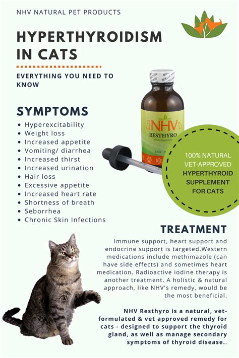 Resthyro™ for Cats | Feline hyperthyroidism, Cat care tips, Pet health