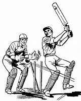 Cricket Coloring Pages sketch template