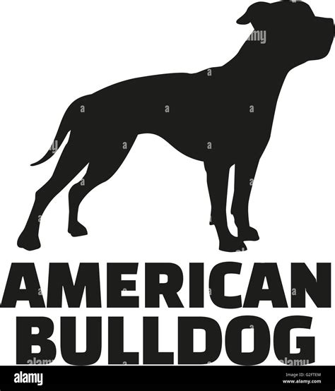 American Bulldog with breed name Stock Photo - Alamy