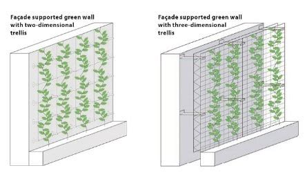 Green Wall Systems Detail