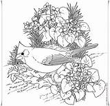 Printable coloring Pictures Of birds Birds free to Color For Children  sketch template