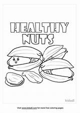 Free Nut Coloring Page  Printables Kidadl sketch template