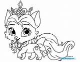 Whisker Haven Palace Pets Coloring Book Pages sketch template