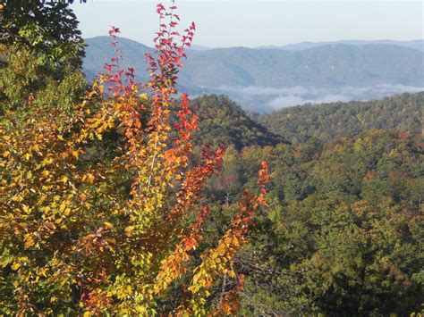 East Tennessee in the fall - spent MANY years in these mountains. | Favorite places, East ...