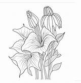 25 beautiful Flower Drawing For Kids  Coloring Super sketch template