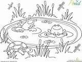 Entrelosmedanos Pond Life Coloring Pages sketch template