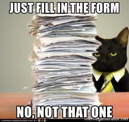 Just fill in the form, No, not that one - business cat paperwork - Meme Generator