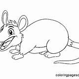 Opossum Coloring Pages Printable For Free Download sketch template