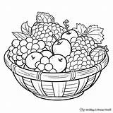 Fruit Basket Coloring Pages sketch template