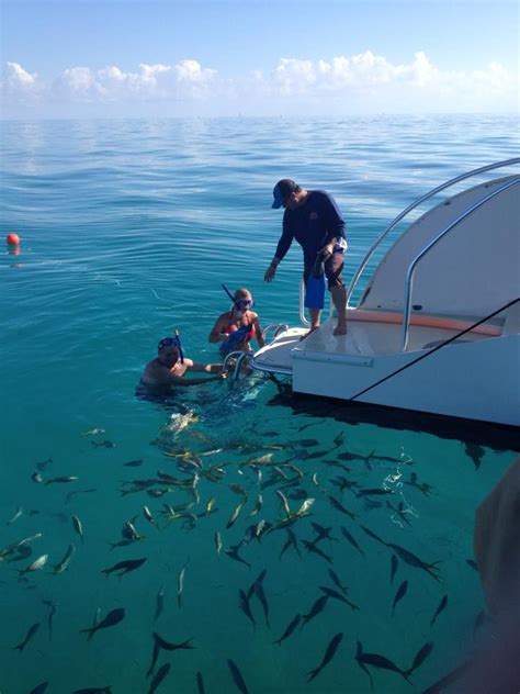 Florida Keys Snorkeling - Robbie's of Islamorada | Best snorkeling, Fl vacations, Snorkeling