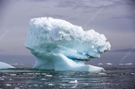 Icebergs off Detaille Island, Graham Land, Antarctica - Stock Image - C050/6192 - Science Photo ...