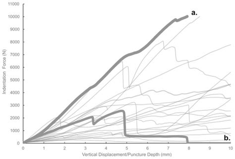 Bite force estimates in juvenile Tyrannosaurus rex based on simulated puncture marks [PeerJ]