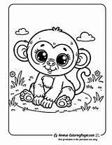 14 Baboon Coloring Pages  Free Download PDFs 🐒 sketch template