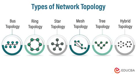 Network Topology - Meaning & Type of topologies in networking