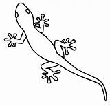 Cartoon Gecko Coloring Page  Free Printable Pages For Kids sketch template