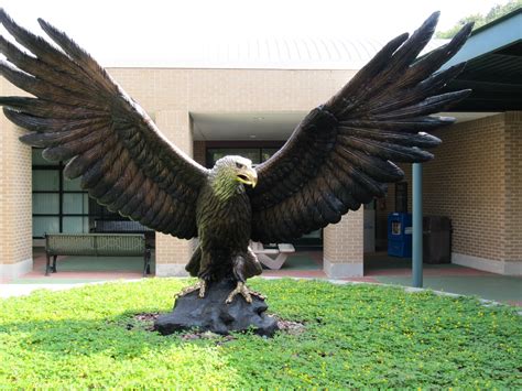 Big Bronze Sculptures Statues and Fountains: Our GIANT EAGLE purchased by HCC in Tampa, FL