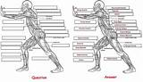 Human Anatomy Coloring Pages  coloring Book sketch template