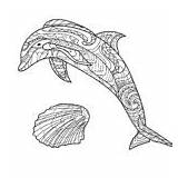 Dolphins Coloring Pages 100 Pictures Free Printable sketch template