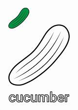 Gurke Komkommer Cucumber Coloring Pepino Malvorlage Kleurplaat Dibujo  sketch template