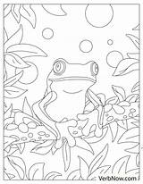Cartoon Frog Coloring Pages sketch template