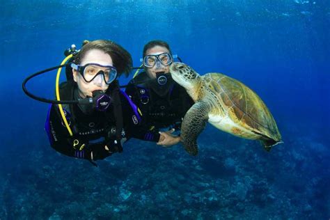 Best Scuba Diving in Palawan - Let's Dive Palawan