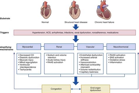 Pathophysiology Of Heart Failure