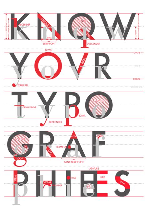 Pin by K. Holt on Typography | Anatomy of typography, Typography design ...