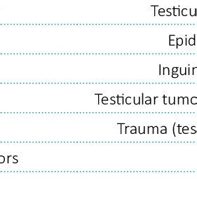 Differential diagnosis of scrotal masses Painless scrotal mass Painful... | Download Table