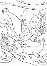 Seal Coloring Sheet sketch template