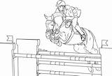 Jumping Horse Coloring Pages Clip Art Library  Vrogueco sketch template