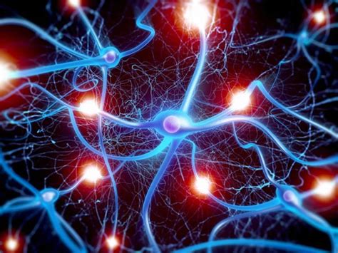 How Neurons Are Able to Keep Up the Chatter - Neuroscience News