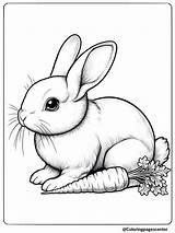 Free Printable Baby Rabbit Coloring Pages sketch template