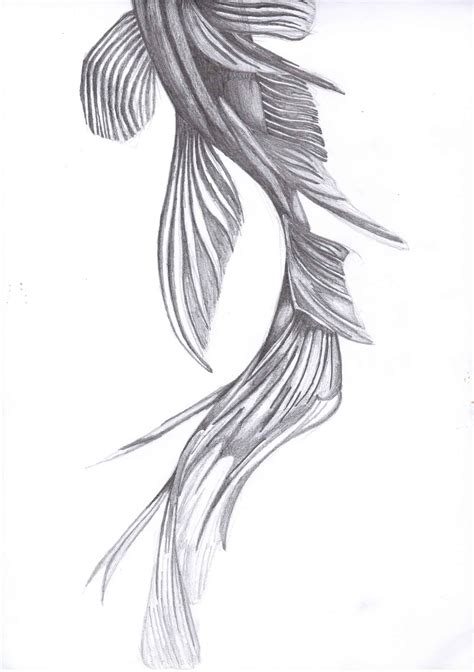 Fish Tail Drawing | Fish drawings, Sea illustration art, Sea illustration