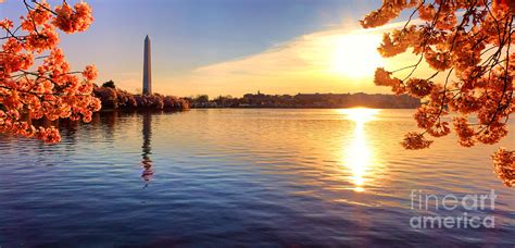 Sunrise on the Tidal Basin Photograph by Olivier Le Queinec - Fine Art ...