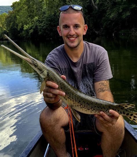 A rare catch: Local angler hauls second longnose gar from Shenandoah River | News, Sports, Jobs ...