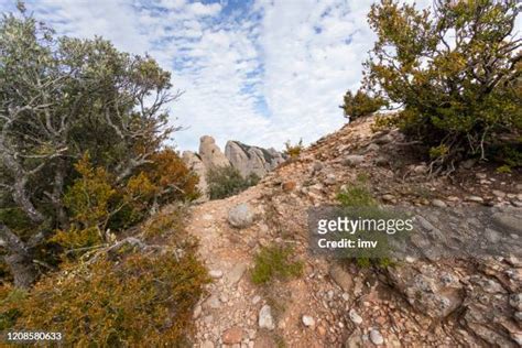 53 Climate Of Montserrat Stock Photos, High-Res Pictures, and Images - Getty Images