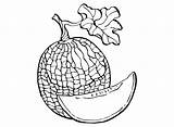 20  Melons Coloring Pages Free Printable PDF & Online sketch template