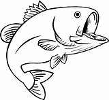 Fishing Lure Coloring Pages At GetDrawings  Free Download sketch template