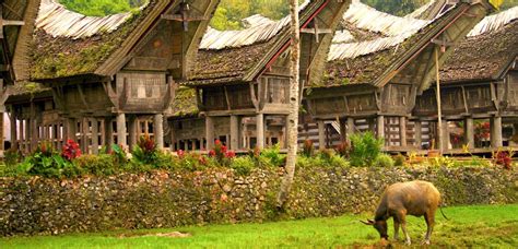 Paket Tour Makassar - Toraja 4 Hari 3 Malam - Tour Sulawesi Selatan