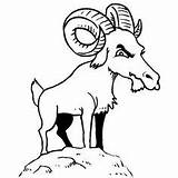 31 Mountain Goat Coloring Pages Ideas  mountain goat coloring sketch template