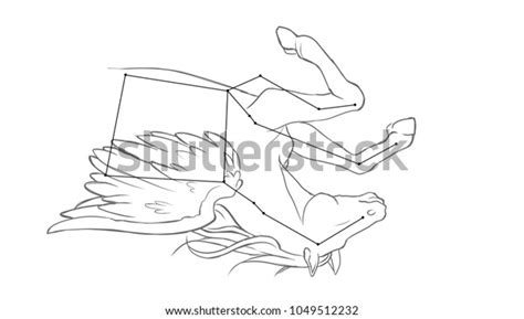 Constellation Drawing Pegasus Stock Illustration 1049512232 | Shutterstock