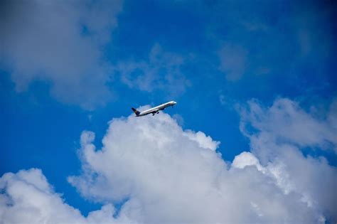 Free Stock Photo of Airplane and white clouds | Download Free Images ...