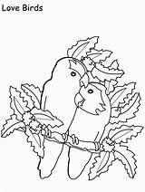 Love Birds Coloring Pages & coloring Book sketch template