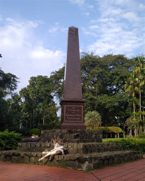 Sejarah Kebun Raya Bogor / Kebun Raya Bogor Wikipedia Bahasa Indonesia ...