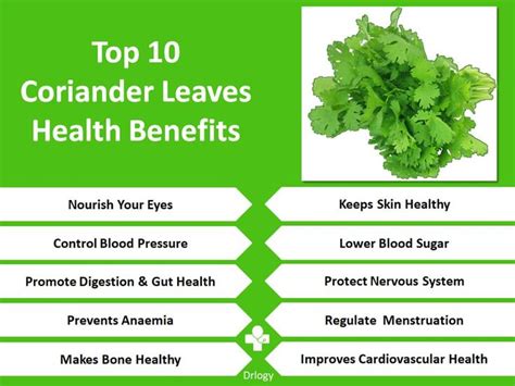 Tip's of The Day | Leaf health, Health benefits, Gut health