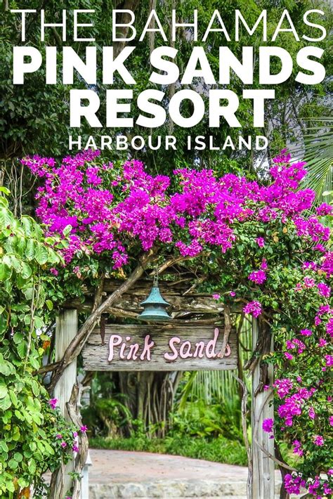 The hidden secrets of Harbour Island, the Bahamas | Harbour island, Bahamas honeymoon, Pink sand ...