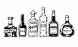 20100  Whiskey Bottle Stock Illustrations Royalty Free Vector sketch template