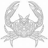 Free CRAB Coloring Pages For Download Printable PDF sketch template