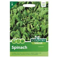 Buy Country Value Spinach Lazio F1 Seeds - Online at Cherry Lane